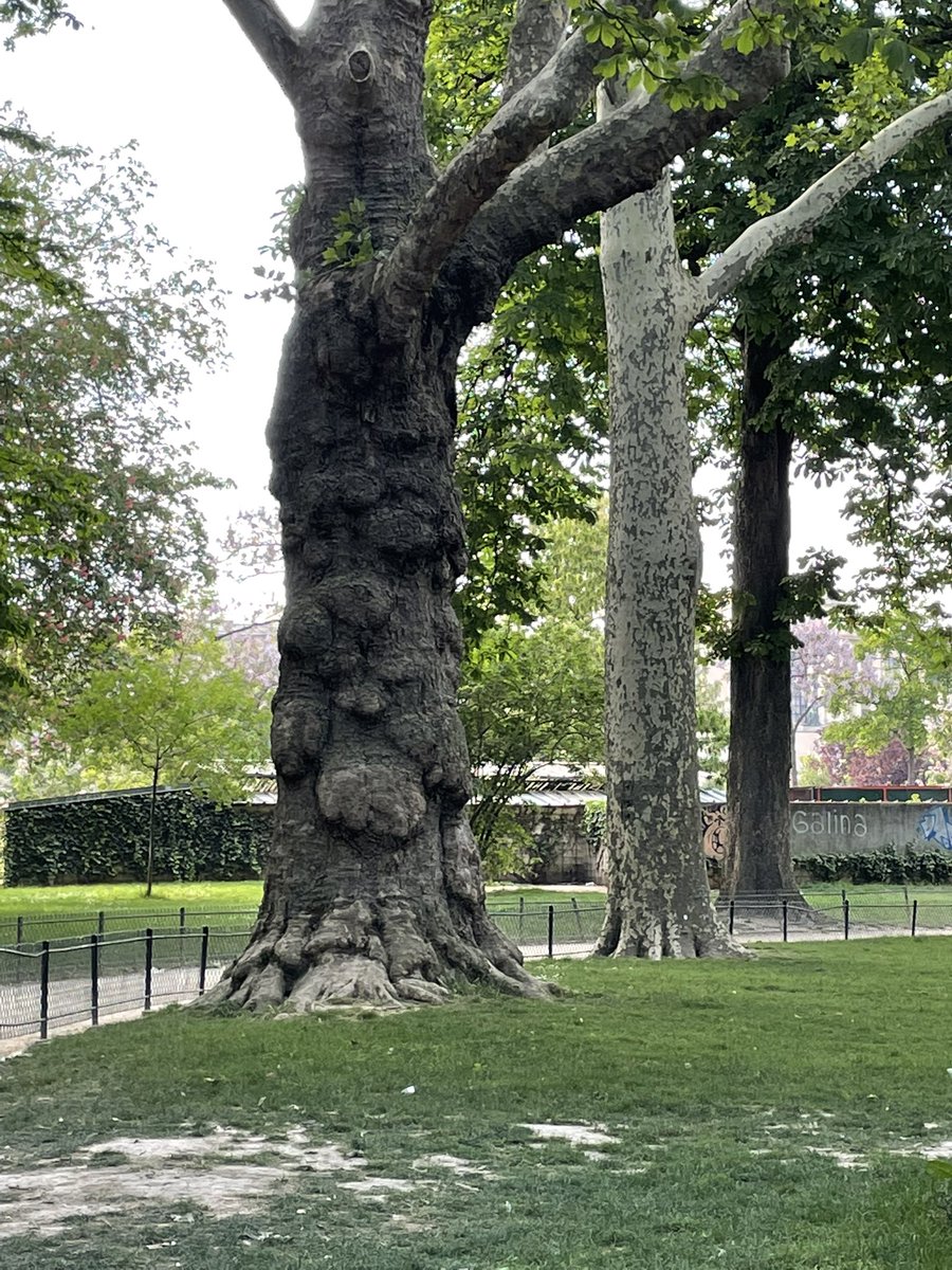 AmisChamp2Mars's tweet photo. Le groupe écologiste de Paris demande officiellement ce jour que soit réexaminé l’emplacement de la bagagerie et des locaux pour les employés de la SETE, (société exploitant Tour Eiffel). Ils rejoignent ainsi l’une de nos premières revendications face au projet mené par la mairie https://t.co/ON8GZmz53C