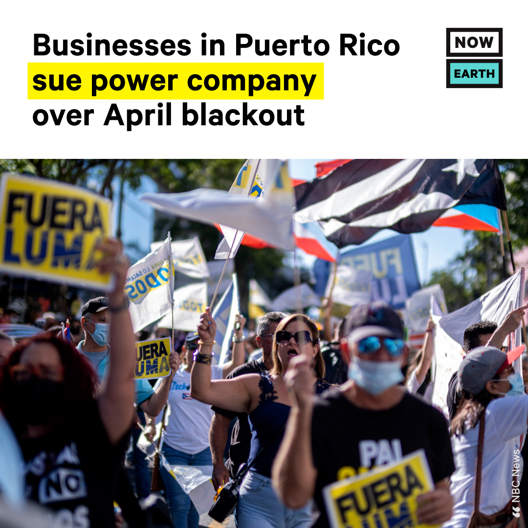 NowThis Impact tweet media