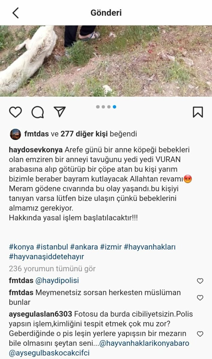 sadecehayvanlar's tweet photo. Dün Konya'da gerçekleşen olayla ilgili yapılan tek bilgilendirme bu arkadaşlar,bebekler bulunursa dernek tarafından alınacak,konya Barosu da takipte umarım en kısa sürede ceza alır 🙏 https://t.co/jJgoBfoknu