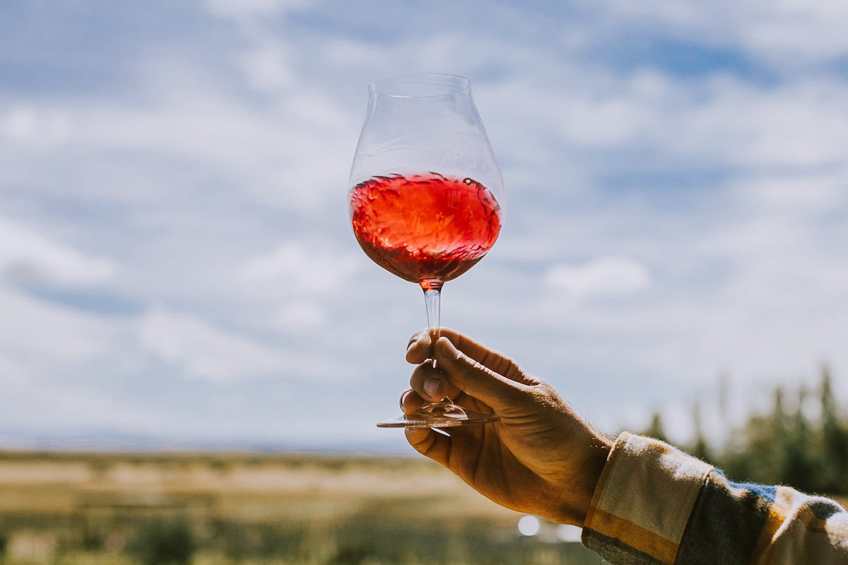 Santiago Vellini tweet media