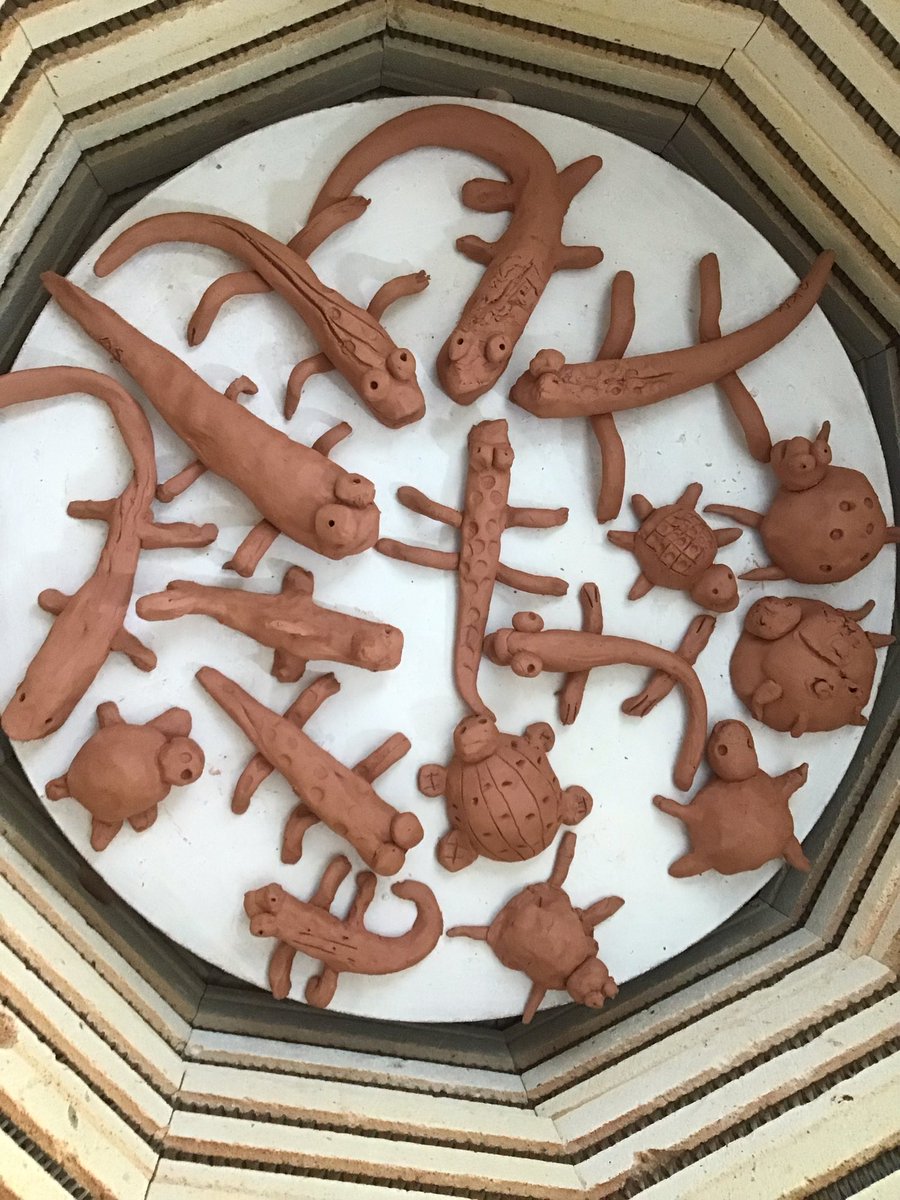 Primary Macdonald’s  lizards and turtles are cooling off for glaze day tomorrow. Can’t wait.<a href="/HRCEPotteryLab/">Jill Sullivan</a> <a href="/HRCEFineArts/">HRCEFineArts</a> #thankstoyouhalifax