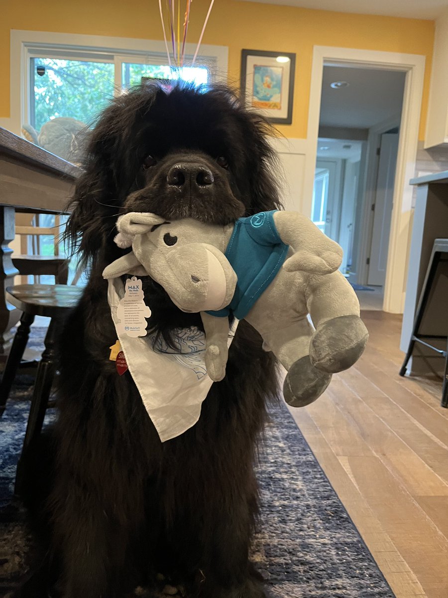 Sirius is thrilled that I brought her new friends from #TDX22