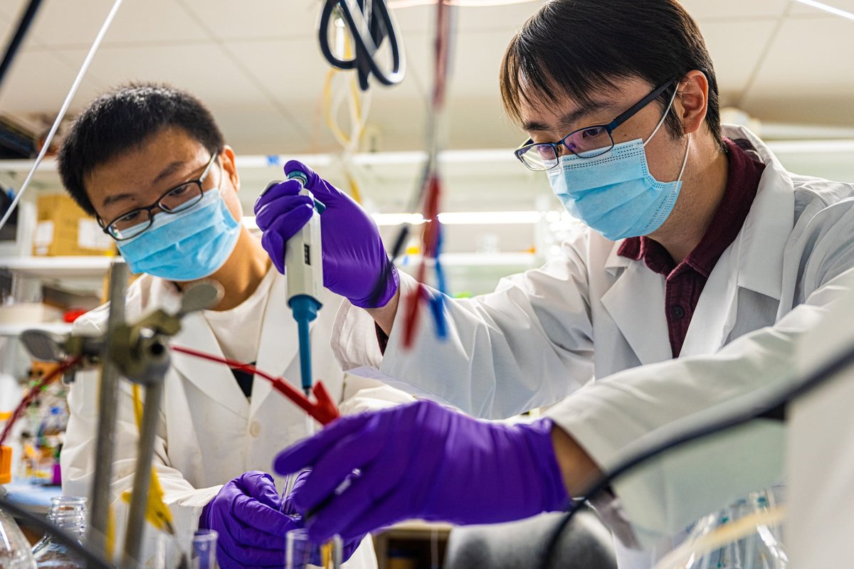 Rice U. Chemical & Biomolecular Engineering tweet media