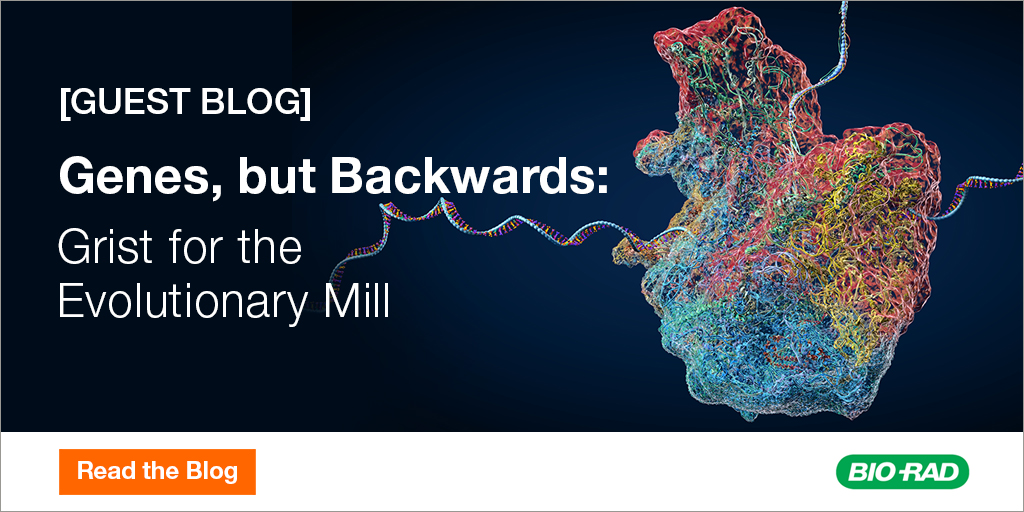 BioRadFlowAbs's tweet photo. Read about the journey from non-coding region to gene in this guest post for #LabCrunches. https://t.co/ytNJ1ztPyd #GeneEvolution #Genes https://t.co/L8n0m0BfRA