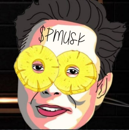 MuskPizza's tweet photo. Meme Contest ! Get your $PMusk game on!
(48 Hours)
Requirements
Follow our Twitter @MuskPizza
❤️This Tweet
RT This Tweet
Reply with your meme &amp; Tag 3 friends with the hashtag $PMusk
Post your meme at https://t.co/LRMhWSCViS

First Place 100$
Second Place 50$
Third Place   25$ https://t.co/tVicP9Ji72