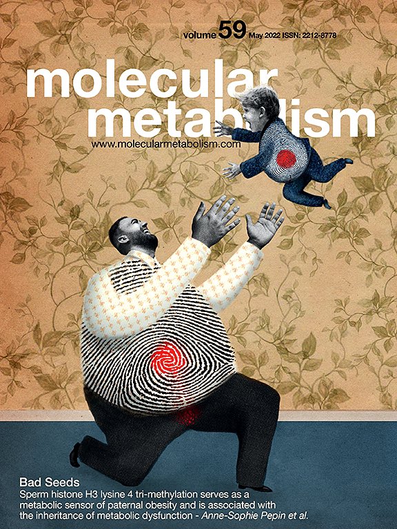 Happy to finally share my 1st first-author paper now published in <a href="/MolMetab/">Molecular Metabolism</a> and featured on the May Issue cover! sciencedirect.com/science/articl…