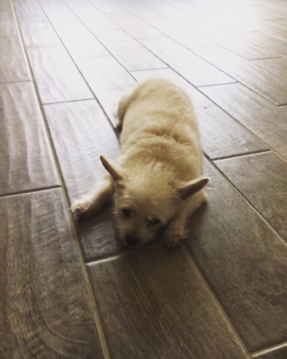 DavidLevelsUp's tweet photo. Omg, so tired from moving https://t.co/mODDEQyoPT