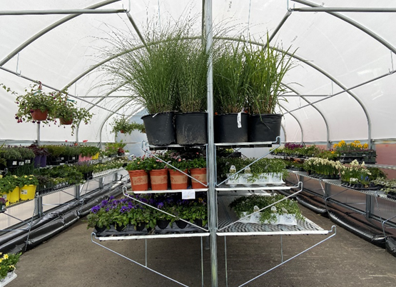Check out our new greenhouse at our Medway yard!  We can now grow and store beautiful plant material for our seasonal color displays and veggie gardens.  This is gonna be fun! #greenhouse #gardening