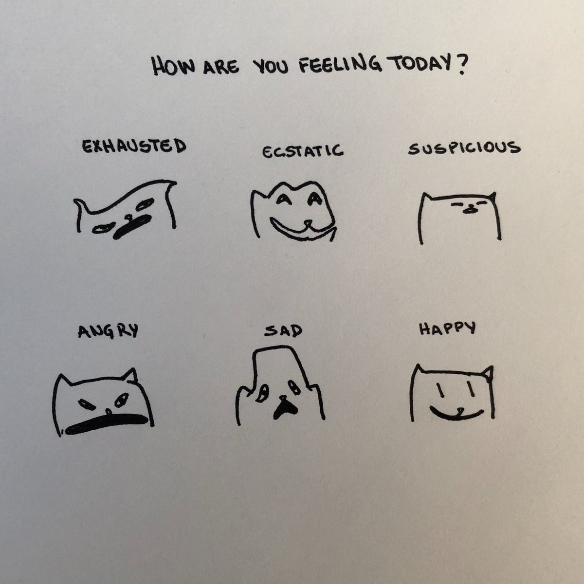 poorly drawn cats tweet media