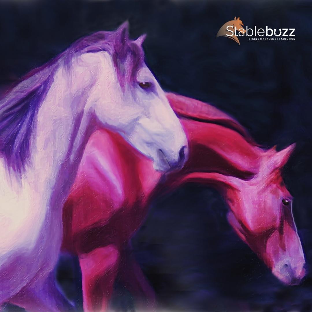 stablebuzz's tweet image. Check out this awesome article on 20 horse books that are must-reads!

bit.ly/3NxMIYG

#horses #horserider #lovinghorses #equestrian #horsemanagementsoftware #stablemanagement #stablemanagementsoftware #horsestories #horsebook