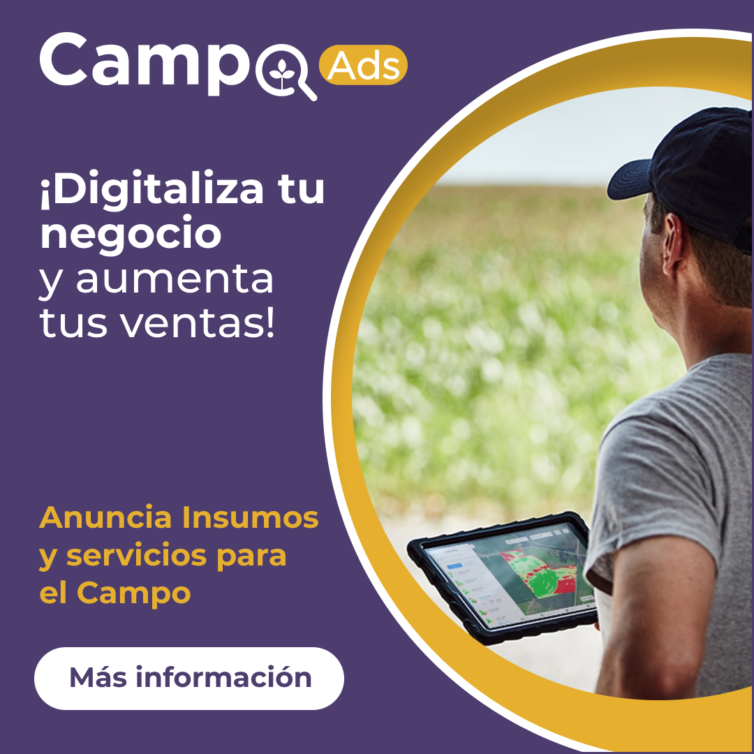 campoads's tweet image. #CampoAds, es el servicio de publicidad digital que #GrupoSmattcom ha creado para que cualquier empresa o persona del #Agro ofrezca sus productos, maquinaria, insumos y servicios para nuestros más de 70 mil usuarios.

Paga sólo por los resultados.
info.smattcom.com/campoads?utm_s…