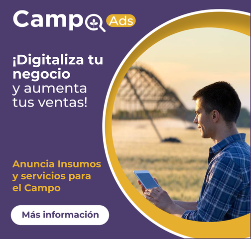campoads's tweet image. #CampoAds, es el servicio de publicidad digital que #GrupoSmattcom ha creado para que cualquier empresa o persona del #Agro ofrezca sus productos, maquinaria, insumos y servicios para nuestros más de 70 mil usuarios.

Paga sólo por los resultados.
info.smattcom.com/campoads?utm_s…