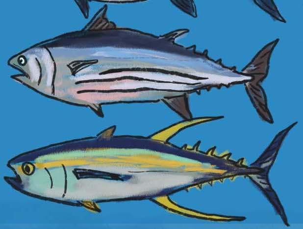 When most people think of tuna, they probably think of fish that comes in a can. You may be amazed at how awesome these fish really are. Visit Mongabay Kids to find out! bit.ly/38GBqRO