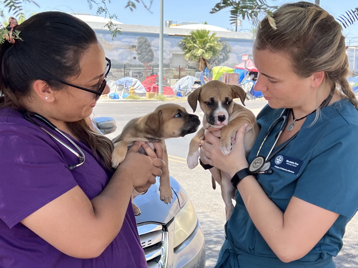 Yesterday @StreetMedPhx started the AM hosting a #StreetRun @ #GraceLutheranChurch in #DTWN #PHX & then outside @HSCPhx & @AndreHouseofAZ, where we were joined by our amazing #veterinary #volunteers from @MidwesternUniv College of #VetMed.

SMP❤️'s #Interprofessional development!