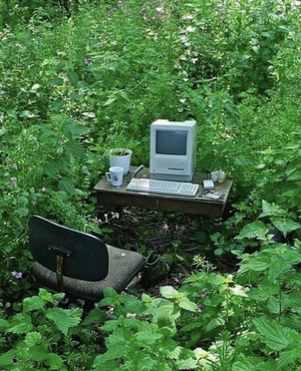 this is what the ideal home office looks like