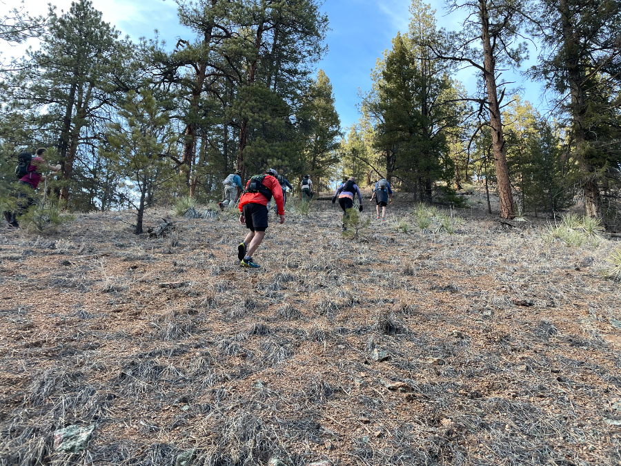 HPRunningSeries's tweet photo. Our May 2022 Newsletter is out! Find out how to pre-order your NEW Trucker hat! Also included is our Niwot's Report, Advisory Board Meeting minutes, news, deals, and more! https://t.co/RBHH89eZsN
https://t.co/sXBX9lzzhB https://t.co/D59TmT1jQO