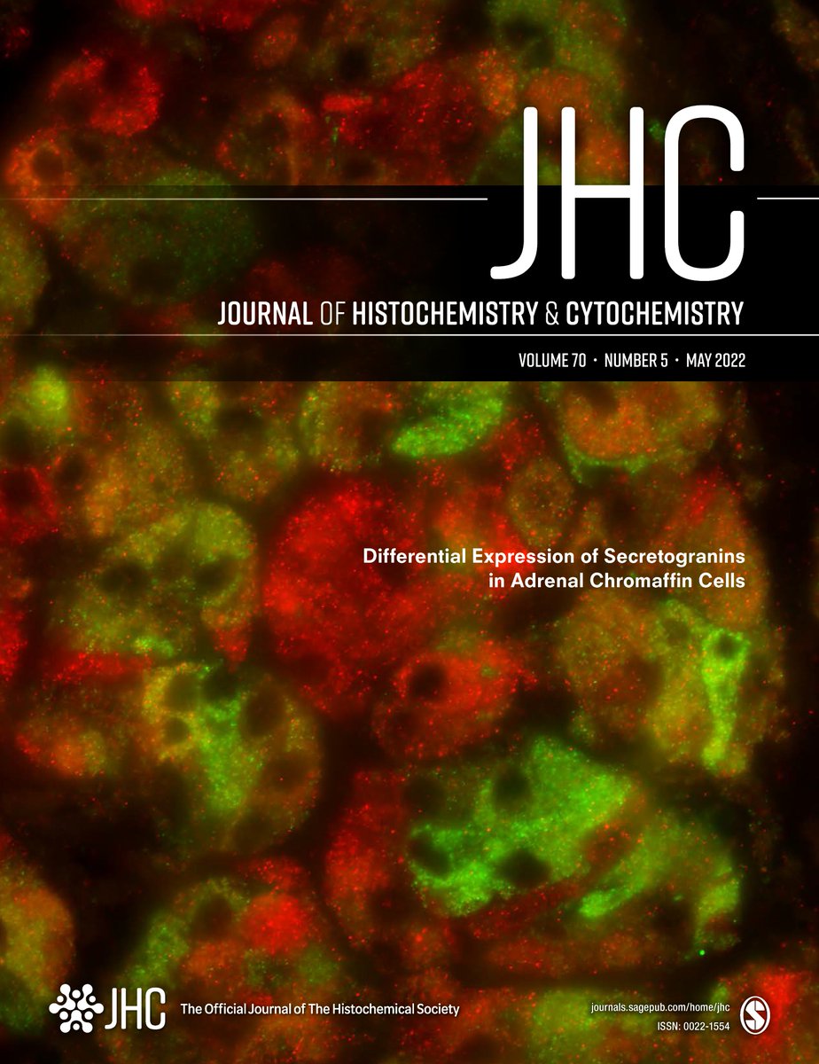 histochemnews's tweet photo. The new May 2022 issue of @JHCnews is now available online!
Check out the latest articles at https://t.co/dqol9tvjkl
#Science #Histochemistry #Cytochemistry https://t.co/a3jhs9NmPc