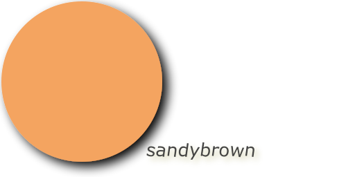 TheDailyColor's tweet photo. sandybrown https://t.co/5SFWEFw6JA π rgb(244,164,96) #f4a460 #sandybrown π https://t.co/CPYeZ1B9Xl