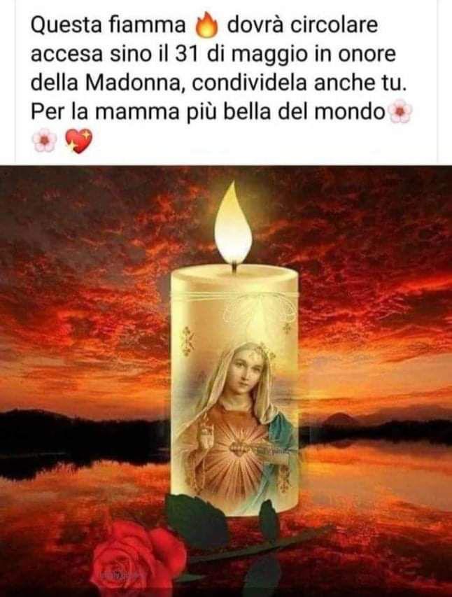 Franca Gila (@gilafranca) on Twitter photo 