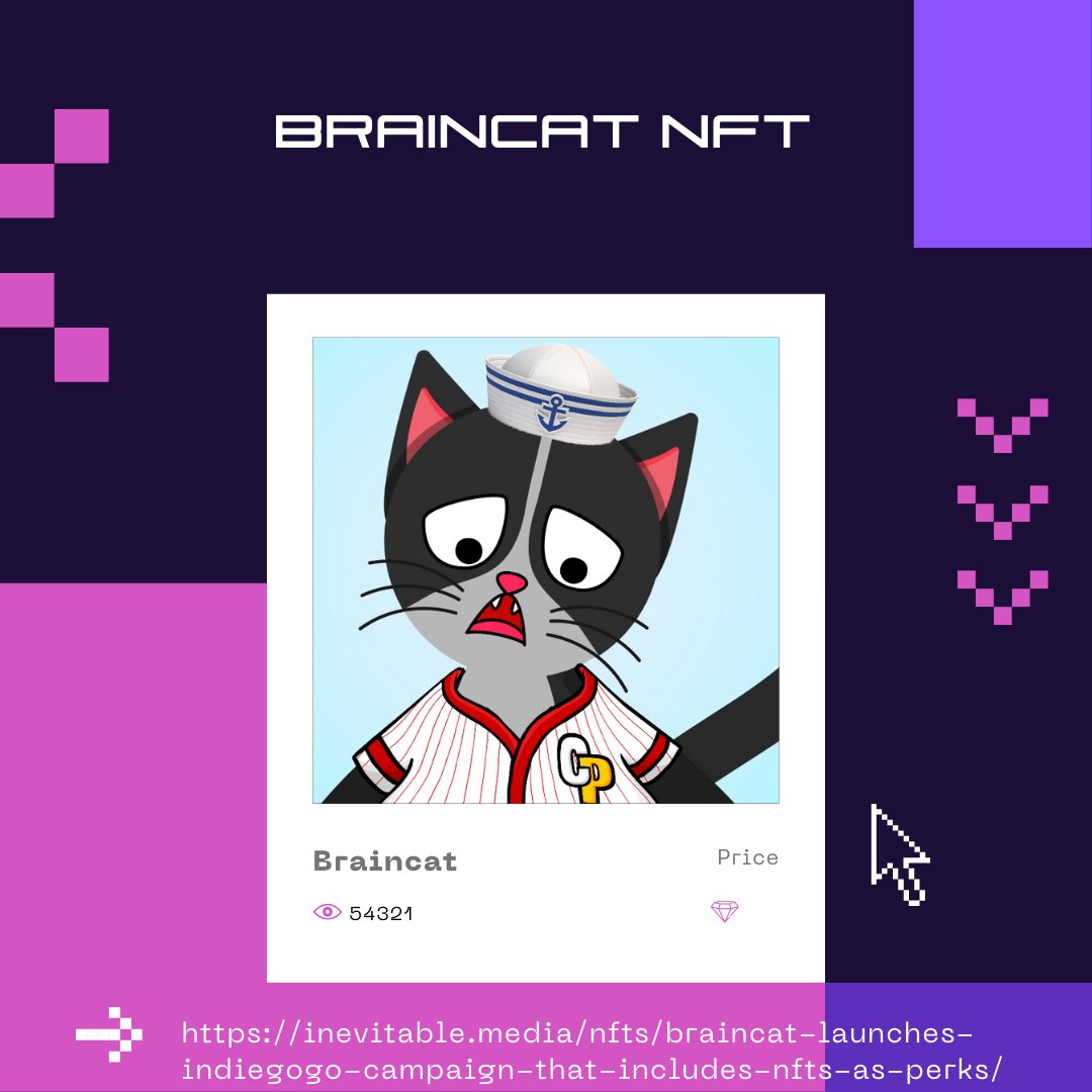 BlackDogNFT's tweet photo. The Braincat NFTs have arrived!
With the purchase of any Braincat plan, one will also recieve NFT perks.
Read more about the project below as Braincat was just featured in @byinevitable 
@ThinkBraincat 

https://t.co/p2c8eAPjp0 https://t.co/hbTV7Gc6wl