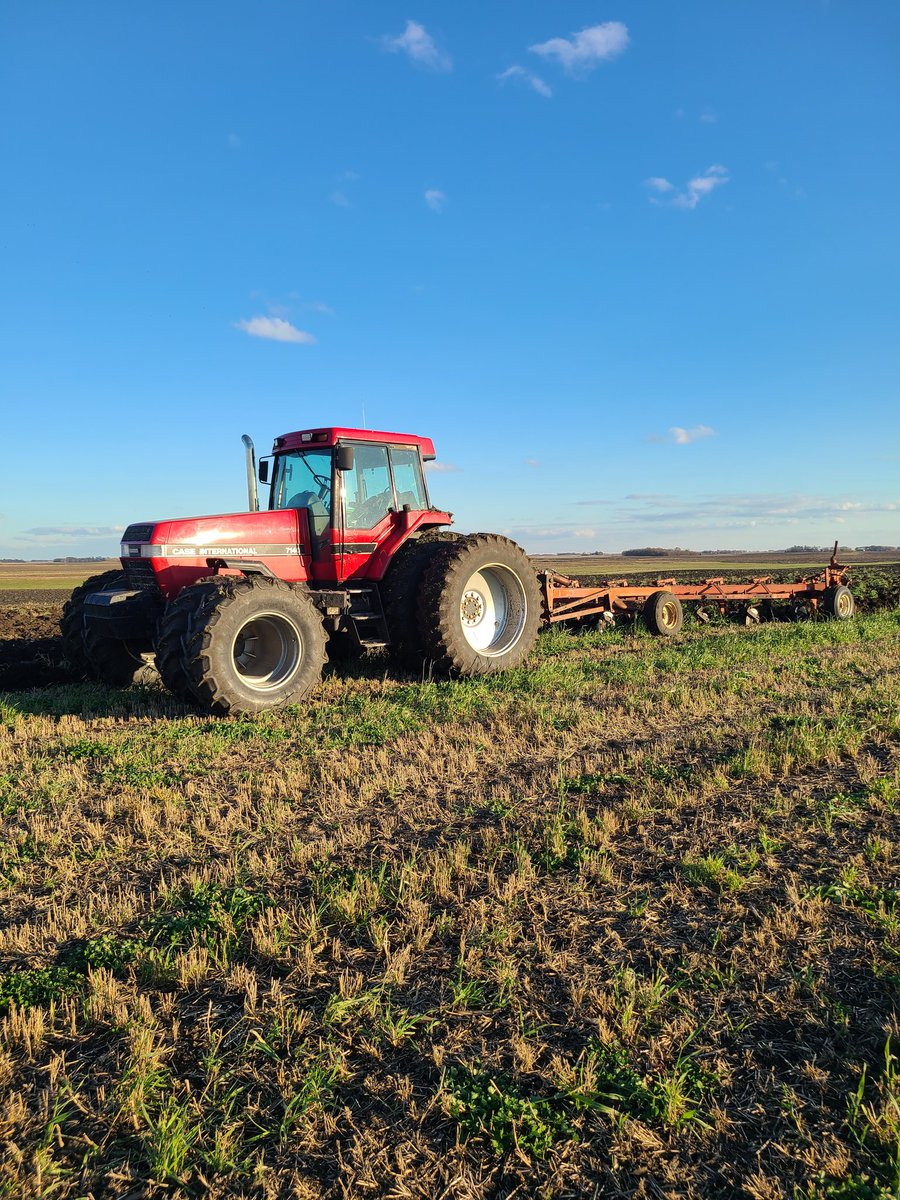 farminiowa's tweet photo. @BeetfarmerDave Gotta love plowing https://t.co/u1sDZf9qrM