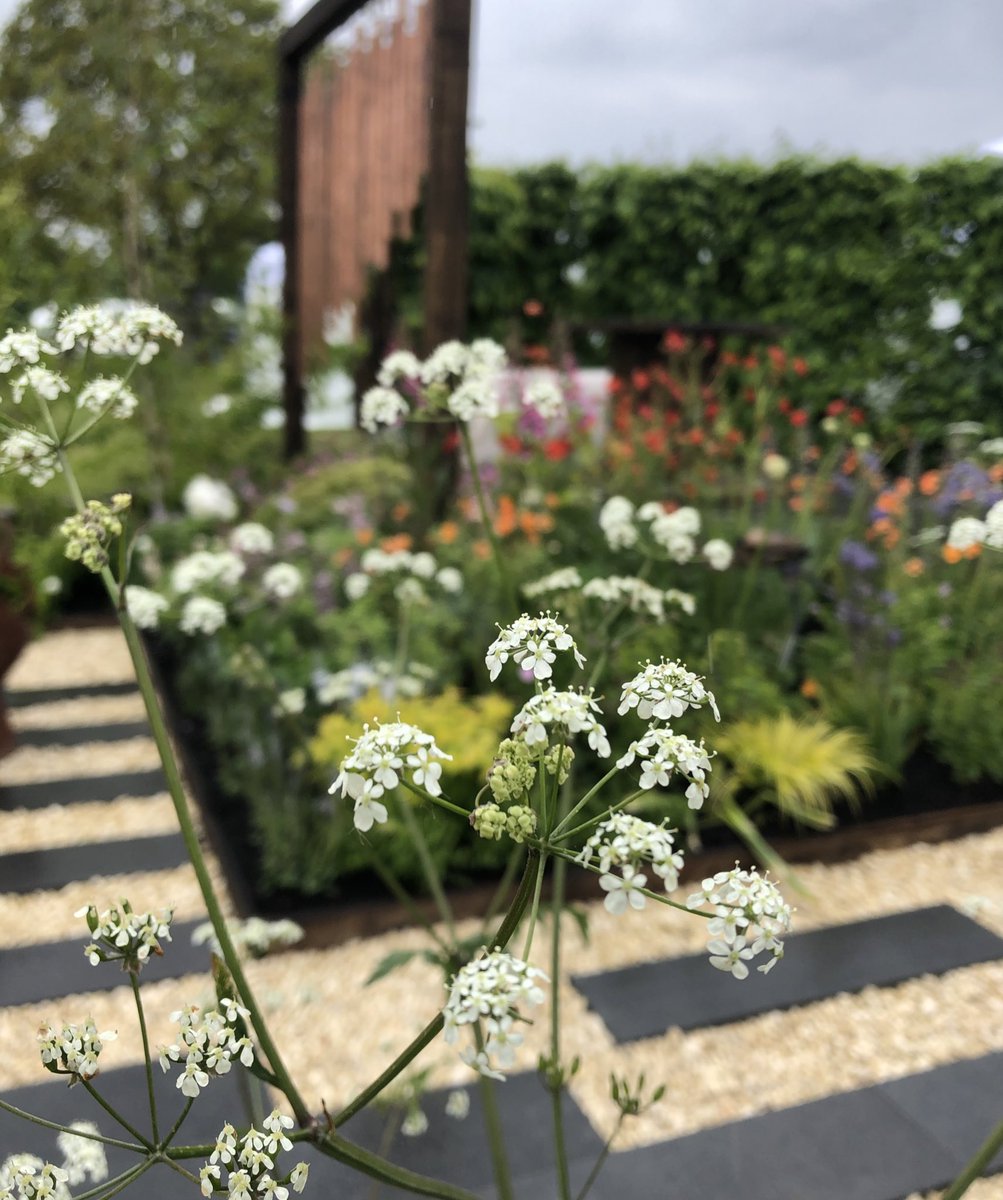 louise_moreton2's tweet photo. @GWmag Difficult to choose my favourite part of #BBCGWSpringFair so much to enjoy. The location was brilliant and the gardens, plant stalls and experts were inspiring. I really did enjoy the talk on small spaces by #francestophill and @lucyhall_GW @GWmag https://t.co/dZHaLxZ60b