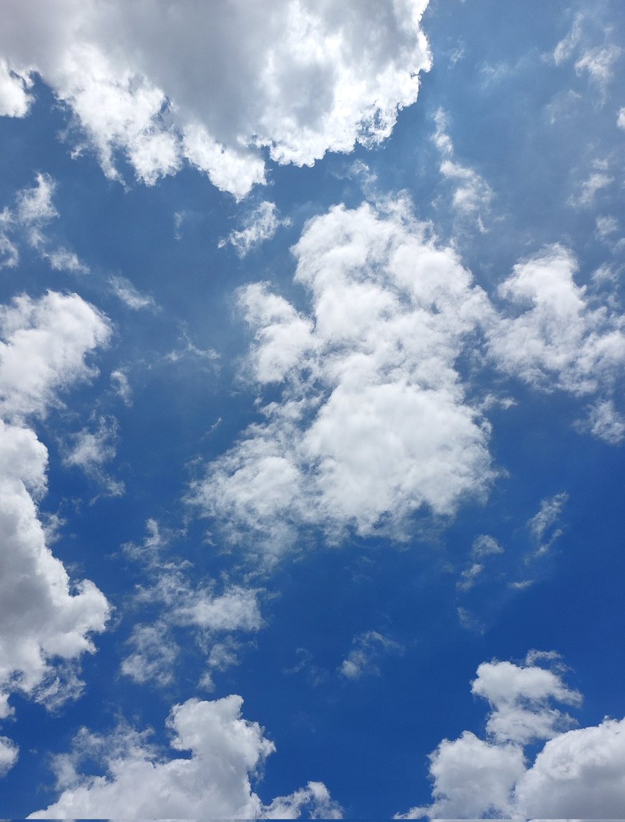 MariaMaryhala's tweet photo. 💧🌈💧
Este arrebato de cielo azul ya
se esfumó, hay bullicio en lo
alto y seguro habrá tormenta
eléctrica de nuevo 🤔
#InviernoCR 🇨🇷 https://t.co/3G5rCDXCPk
