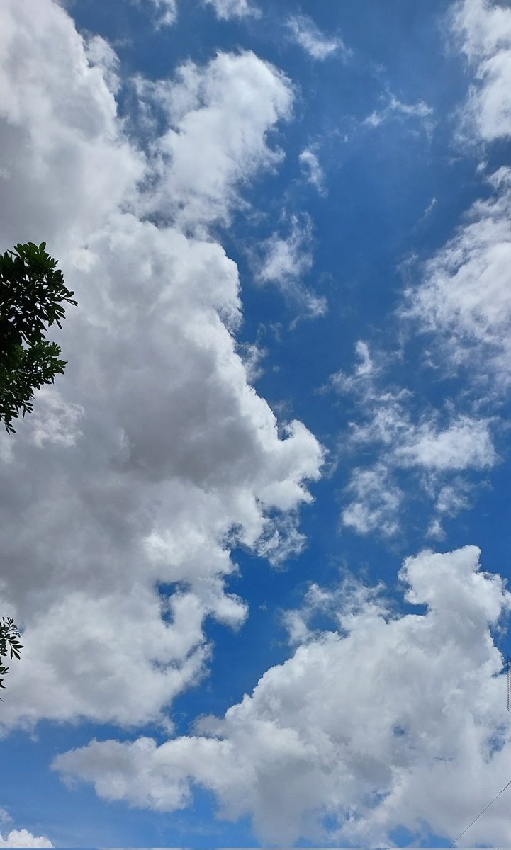 MariaMaryhala's tweet photo. 💧🌈💧
Este arrebato de cielo azul ya
se esfumó, hay bullicio en lo
alto y seguro habrá tormenta
eléctrica de nuevo 🤔
#InviernoCR 🇨🇷 https://t.co/3G5rCDXCPk