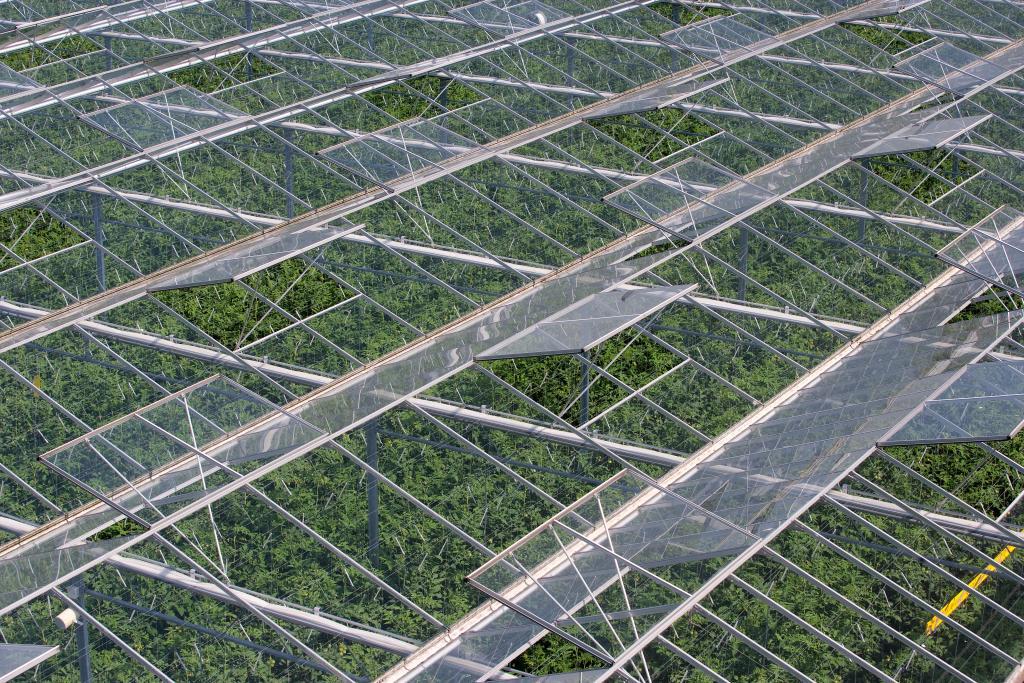 #Dutch greenhouse #horticulture is a world leader when it comes to innovative capacity and #sustainability, but "the challenges are great in terms of energy, water, environment and biodiversity.' says Peter van Bodegom, coordinator of AgriFood at <a href="/LDE_CfS/">LDE Centre for Sustainability</a>. bit.ly/3OR9tHs