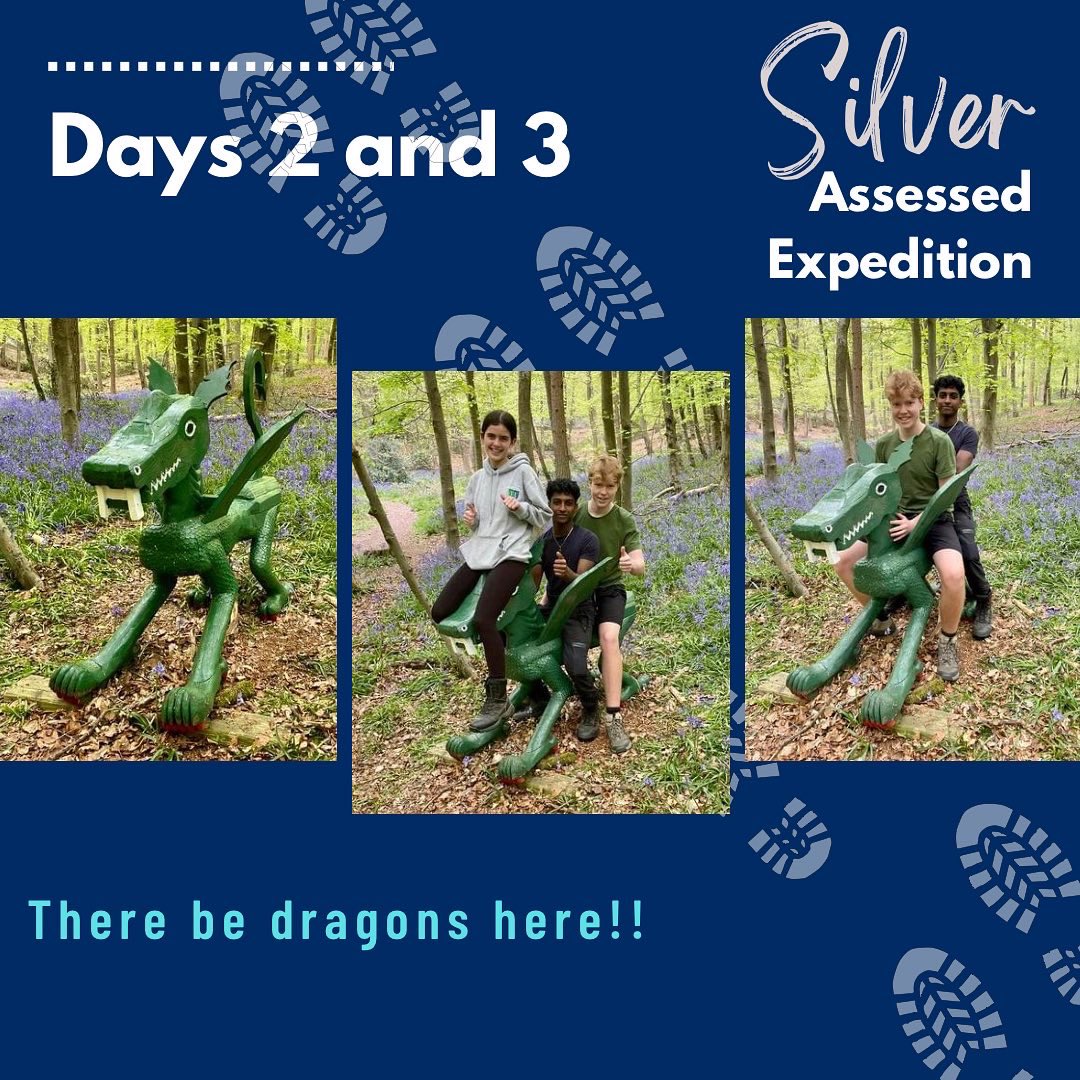 If you go down to the woods today, you’re in for a big surprise….Dragons!!!