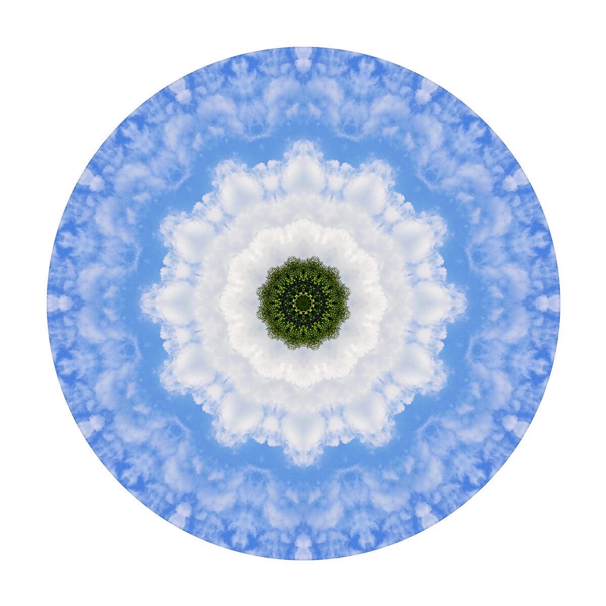 Cryptoportals_'s tweet photo. #013 Arbusto

https://t.co/Dk9dhCUPy2

#nft #nftart #nftartist #cryptoportals #artenft #nftlife #opensea #openseanft #nftcollector #nftcommunity #nftmexico #gicleeprint #giclee https://t.co/cgr0LqfzG1