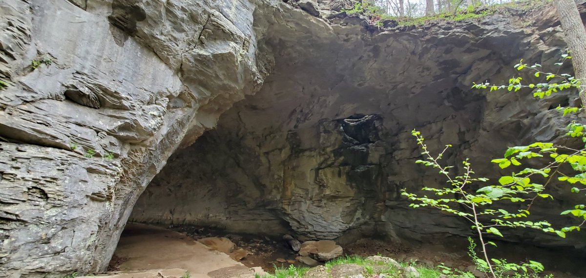 dillon_fricke's tweet photo. Carter Caves State Park, Natural Bridge https://t.co/q5guOMwHJX