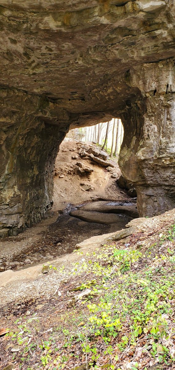 dillon_fricke's tweet photo. Carter Caves Smoky Bridge and a random cave https://t.co/s8mnXdjAbi