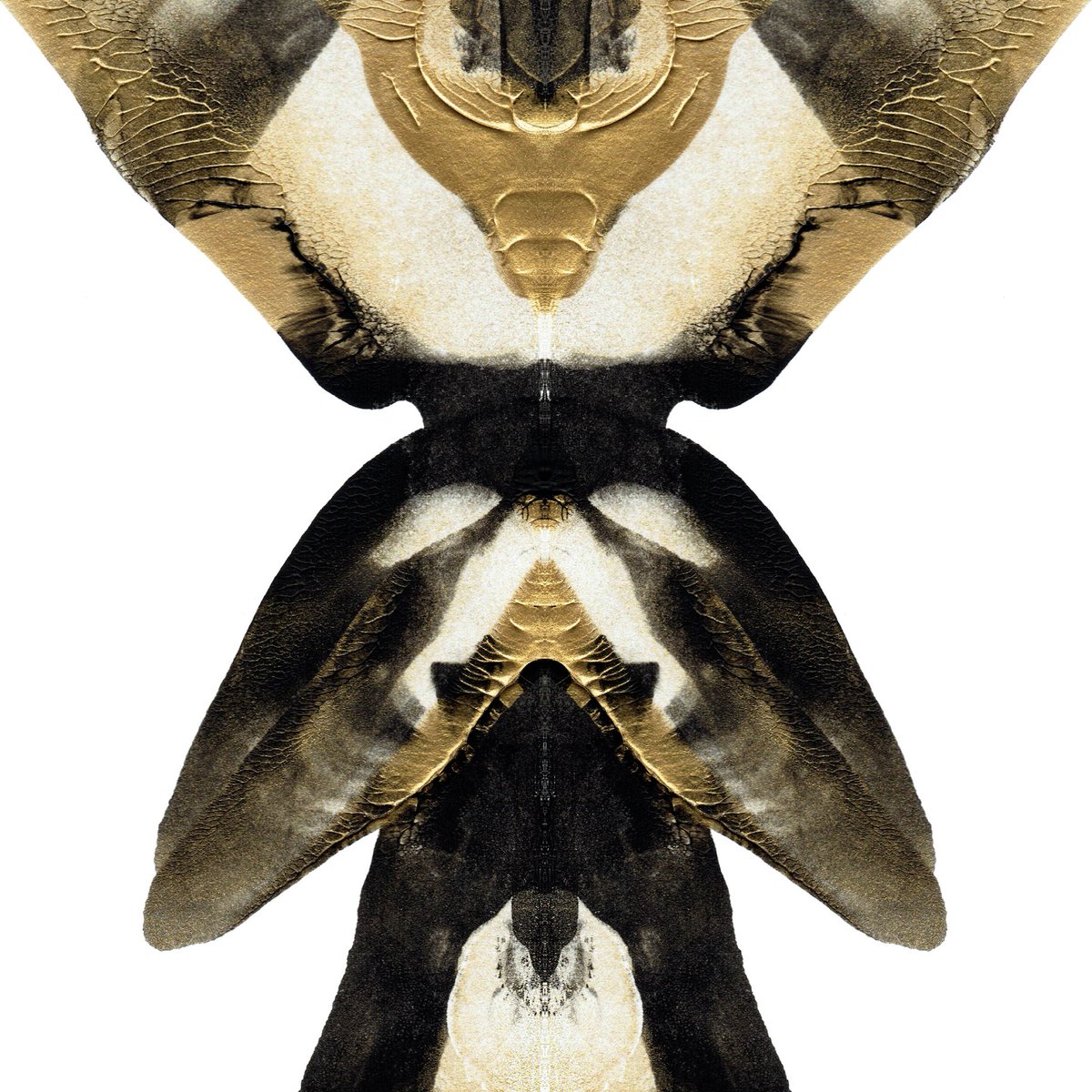 nft0tem's tweet image. The deeper you look...
#art #painting #semiotics