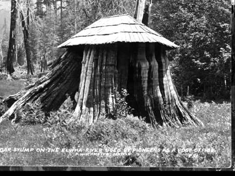 Chesbaburba's tweet photo. The #McDonald Cedar Stump Post Office, near the confluence of the #Elwha and Little Rivers, #Clallam County, 10 miles southwest of #PortAngeles, #Washington, undated photograph ca. 1905-1915.
Continued: https://t.co/IlLSKzISXL