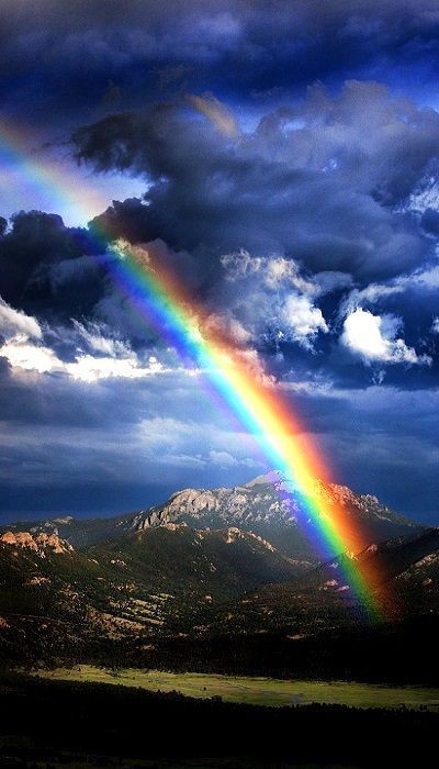 You can’t always predict how something in your life will affect the future the hardest things in our lives prepare us for a beautiful beginning Trust the process count on your friends and family when times get rough Once you make it through the storm a rainbow will be awaiting