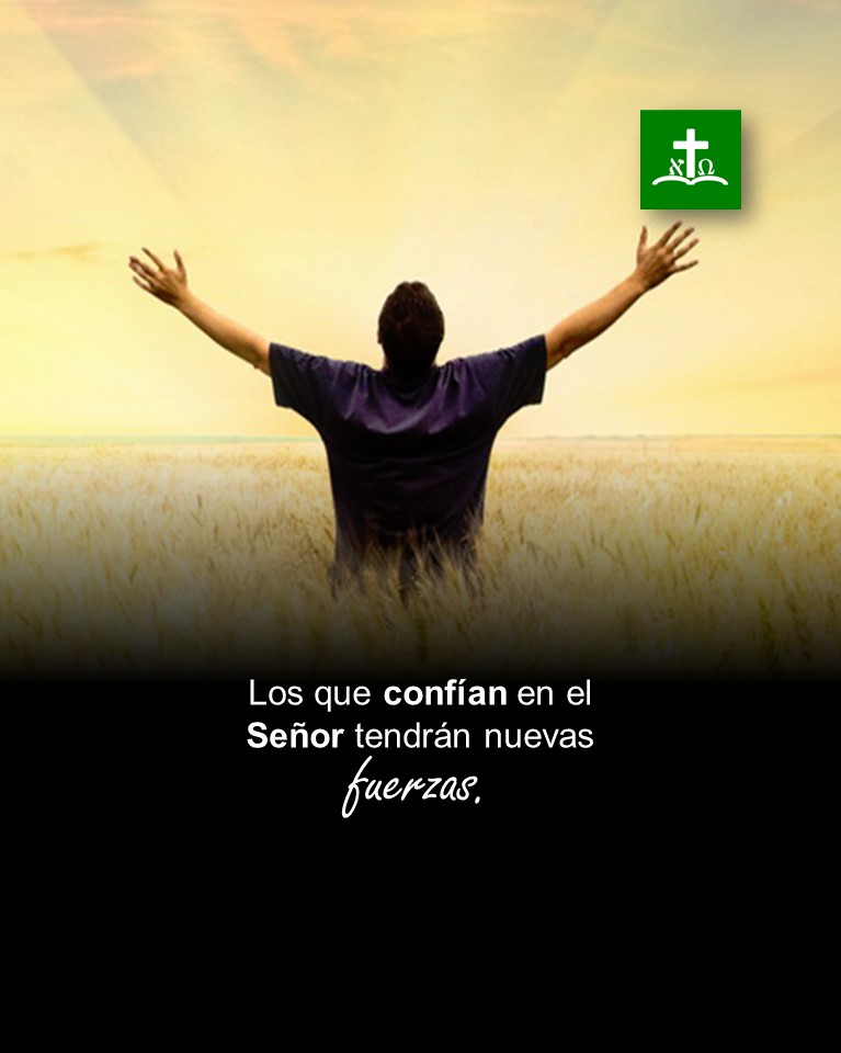 kelogos7's tweet photo. Escribe "amén" si confías en Dios. Comparte esta publicación. Dios te bendiga.

#Biblia https://t.co/gHCEcALwA1