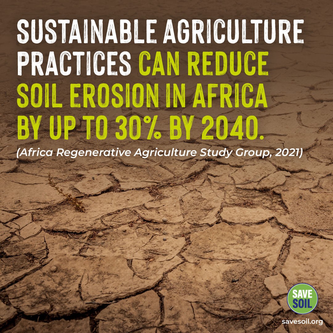 KrithikaShivam's tweet photo. Not just forest cover, crop cover too can store carbon in our Soil! It's time we all raise our concerns to bring a policy change to #SaveSoil for our future! https://t.co/8veiTF349o