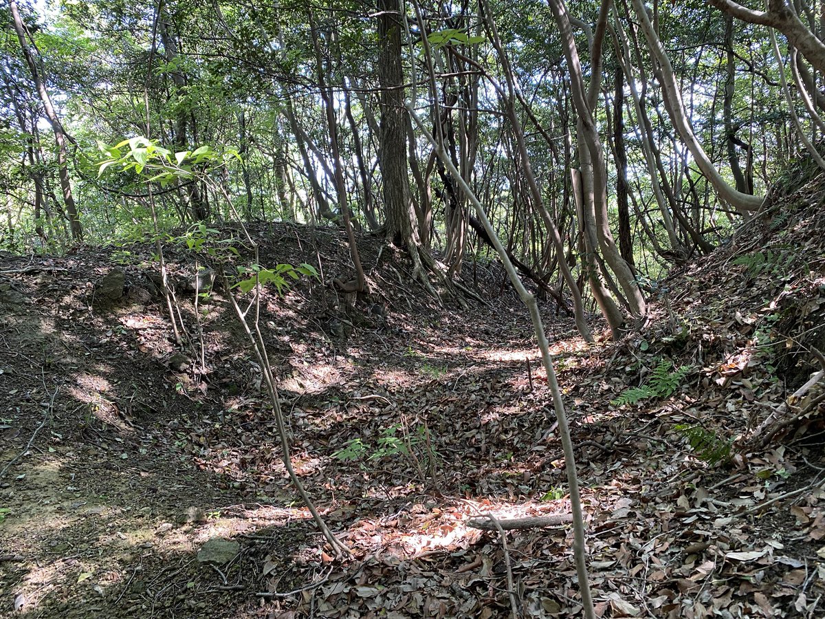 中道子山城よかった! 