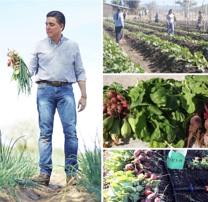 Gustavo_Clausen's tweet photo. Es evidente que se avecina una Crisis Alimentaria Mundial Raza. 
Hay que entrarle… una 
buena Soluciona son los #HuertosComunitarios
•La gente recibe Semilla orgánica
•Sistema de riego
•Bolsas para empaque.
Lo que se produce es para su consumo y el excedente para su venta. https://t.co/sHh10PiZ8x