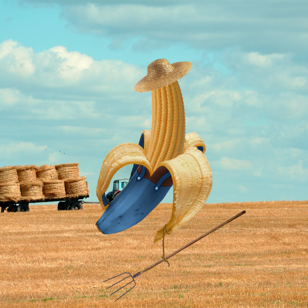 Get to know to this one wholesome Cornanian, Joel Kernel 🧑‍🌾

opensea.io/assets/matic/0… via <a href="/opensea/">OpenSea</a>

#CORNANA #NFT #NFTCommunity #NFTArtist #Polygon $ETH