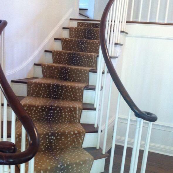 #taxrefund #thecarpetgirl #carpetgirl call us today, 973-218-1155