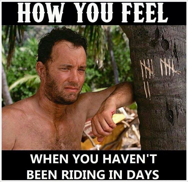CowaLUNGa's tweet photo. The feeling is mutual 😂😭😅 #FunnyFriday #training #trainingride #resphealth #cowalunga #bike #cycle #train #lungs #cleanair https://t.co/2TVCe8Gm7x