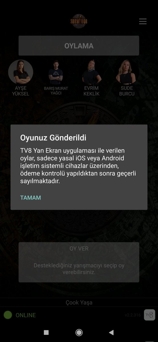 Perflysplendid's tweet photo. @bernakeklikler Bernanin güzel dostu için #queenfc https://t.co/TyLNZ3kA8r