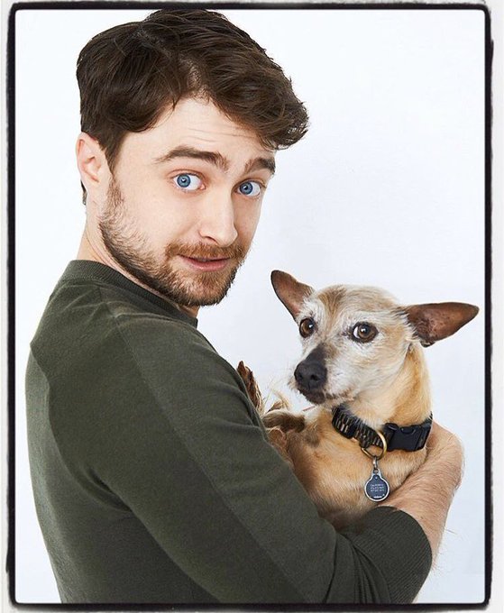 Populer Tweet Lerdan Radcliffe Japan 1 Whotwi Grafiksel Twitter Analizi