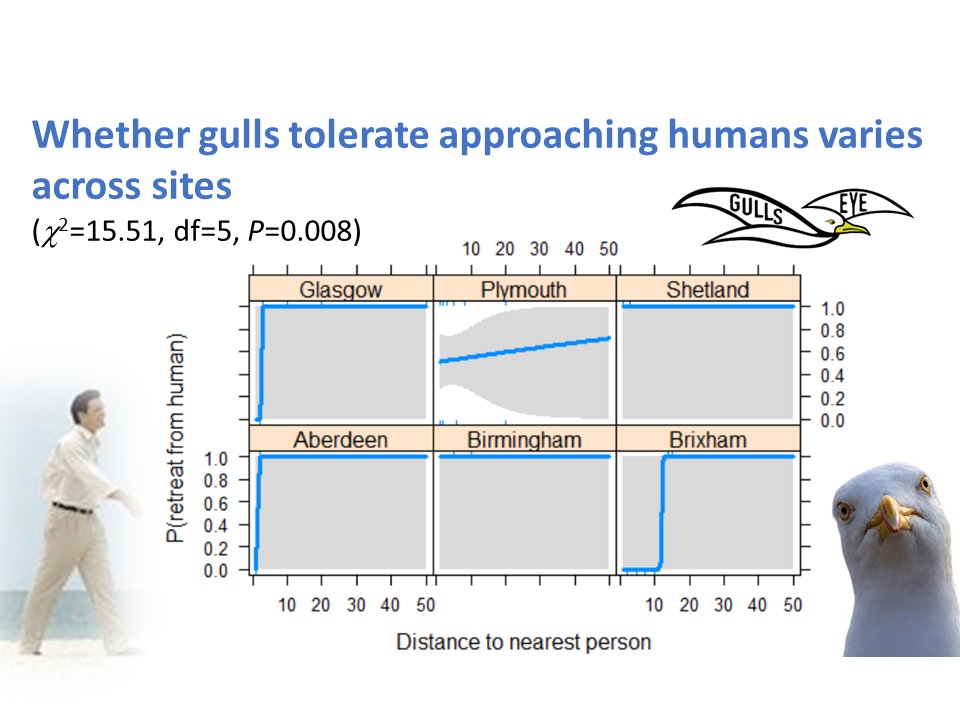 3 #WSTC8 #BehaSesh Across sites gulls differed in their distances from humans over which they tolerated being approached. While at some sites gulls tolerated humans approaching from a considerable distance, at others they always avoided approaching humans