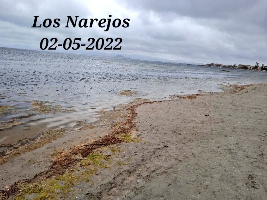 AgroCartagena_'s tweet photo. "Produce una inmensa tristeza pensar que la naturaleza habla mientras el género humano NO la escucha"#MarMenor #stopvertidos #agriculturasostenible https://t.co/TL4dw1btIa