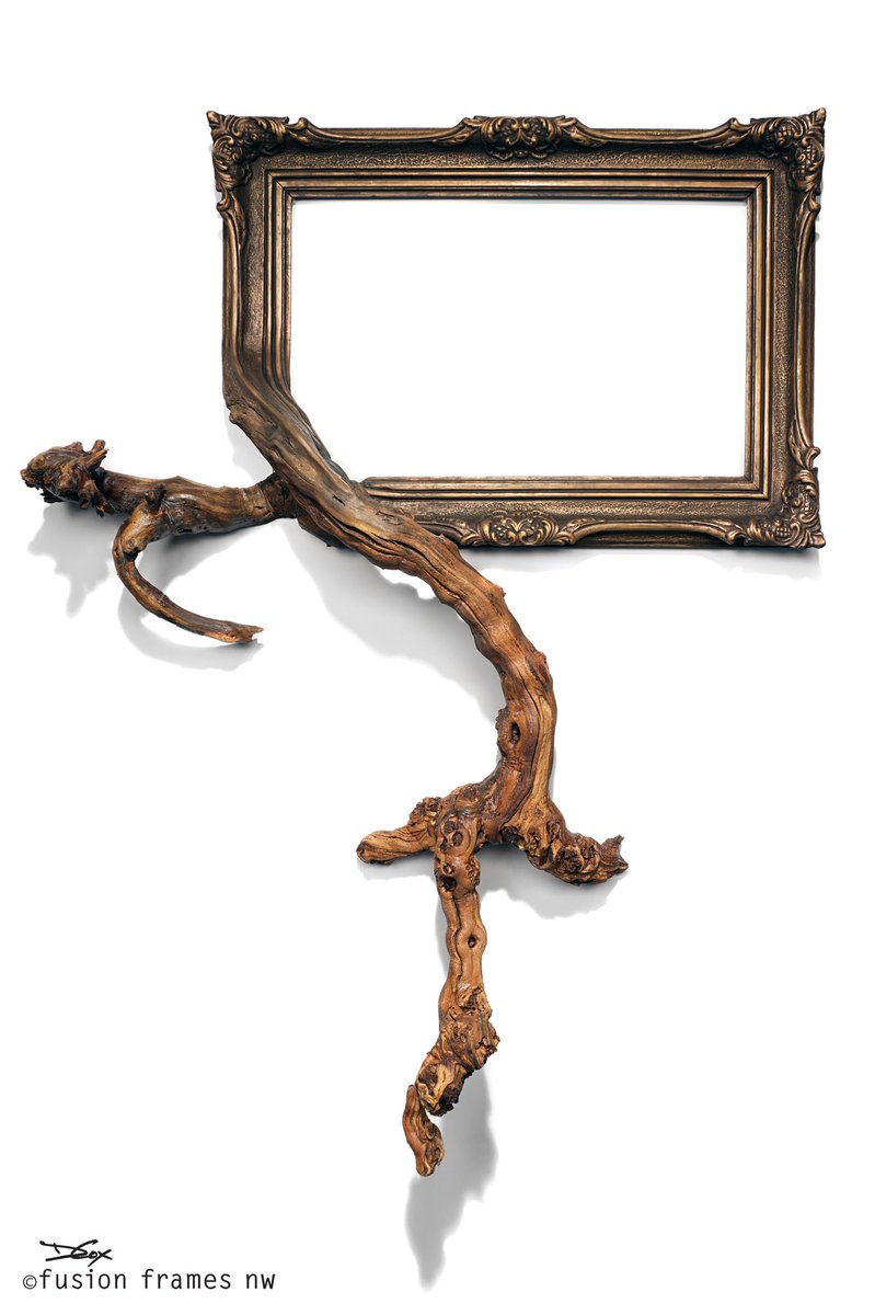fusionframesnw's tweet photo. Altair - Antique frame and grapevine branches! #art #frameart #natureart #surreal #artistsontwitter https://t.co/gssRIIM4pR