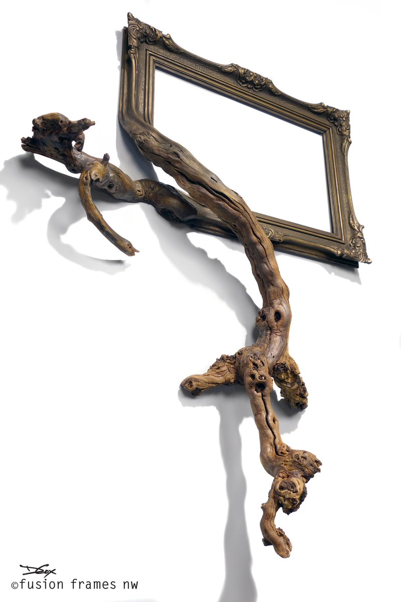 fusionframesnw's tweet photo. Altair - Antique frame and grapevine branches! #art #frameart #natureart #surreal #artistsontwitter https://t.co/gssRIIM4pR