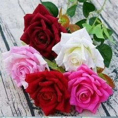 SyDored's tweet image. 